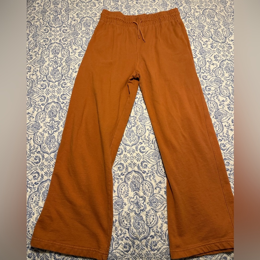Arizona Jean Company Wide Leg Pants in Rust